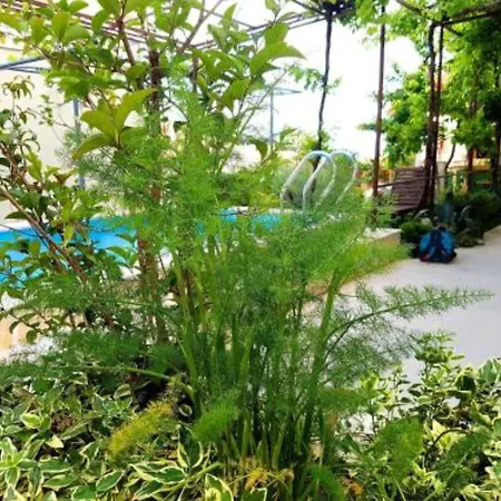 Kegalj - With Pool View